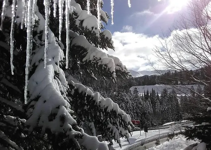 アパート Les Marmottes *